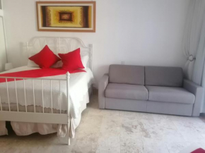 Room in Guest room - Mono-local apartment type private garden Boca Chica resort